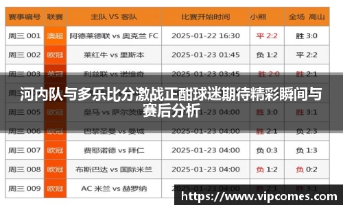 河内队与多乐比分激战正酣球迷期待精彩瞬间与赛后分析