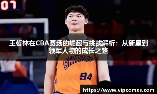 王哲林在CBA赛场的崛起与挑战解析：从新星到领军人物的成长之路