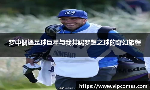 zoty中欧有限公司